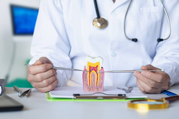 Best Emergency Dental Extractions in Beaufort, NC